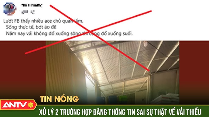Xử lý 2 trường hợp đăng tải thông tin sai sự thật về vải thiều Bắc Giang